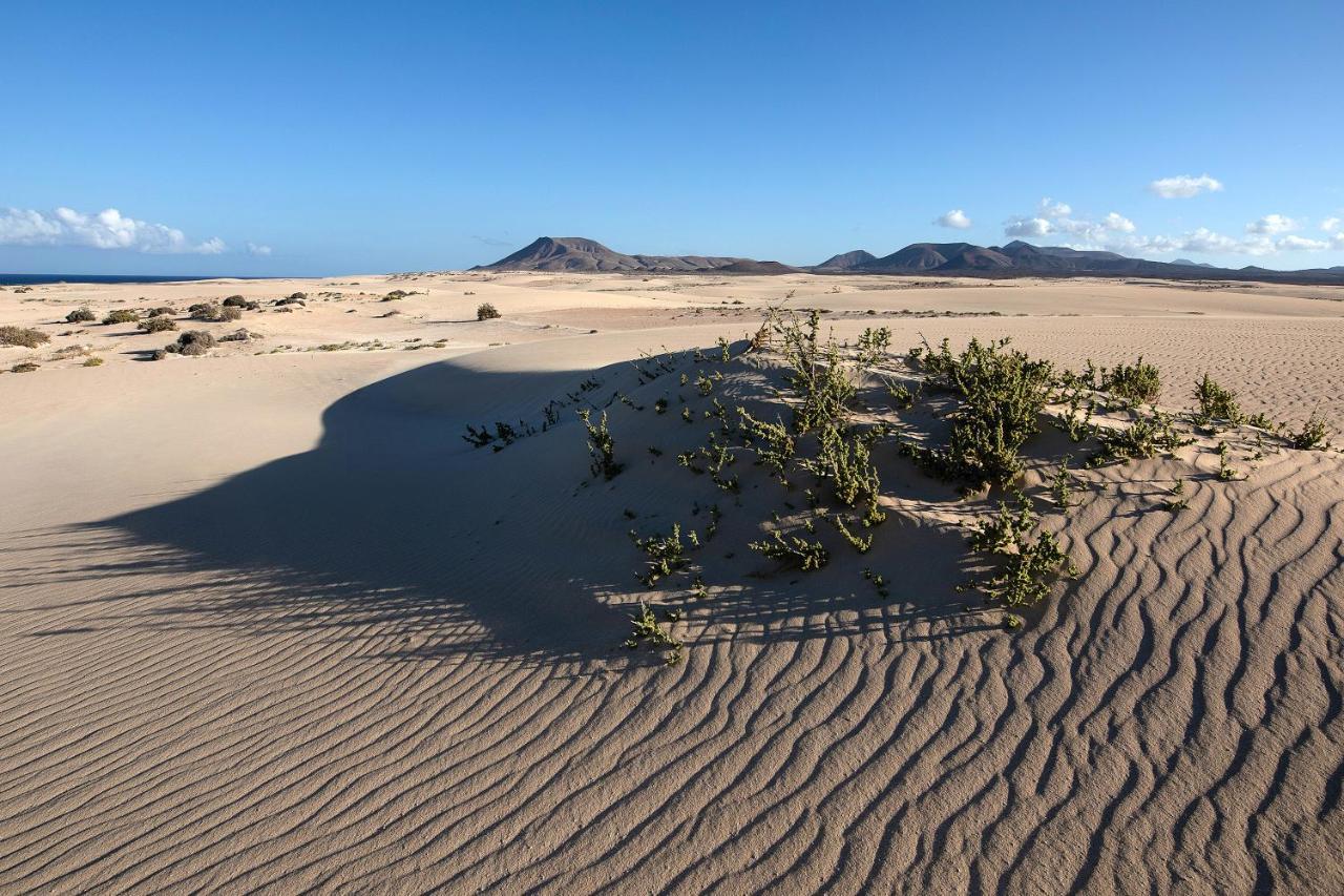 Casa Yoaki Daire Corralejo Dış mekan fotoğraf
